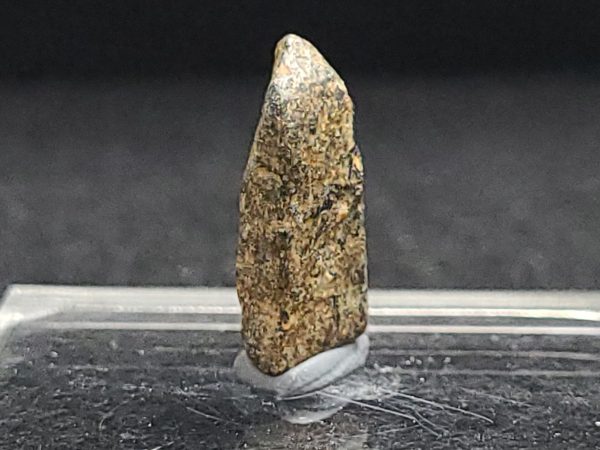 Thorite Crystal ~ Pakistan, 2.3 Grams  Thorium Ore - Image 3