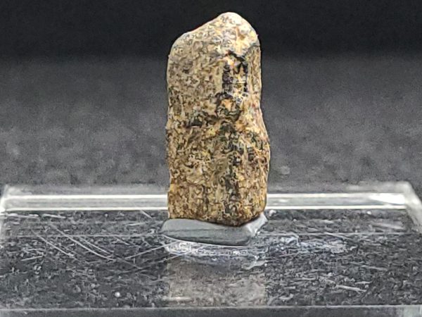 Thorite Crystal ~ Pakistan 2.3 Grams Thorium Ore