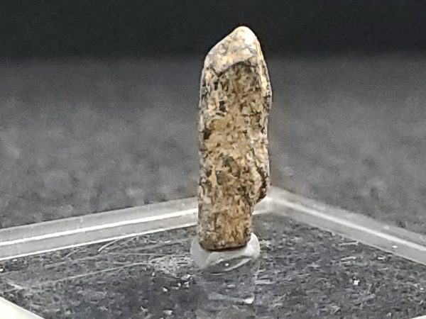 Thorite Crystal ~ Pakistan, 2.3 Grams  Thorium Ore - Image 6