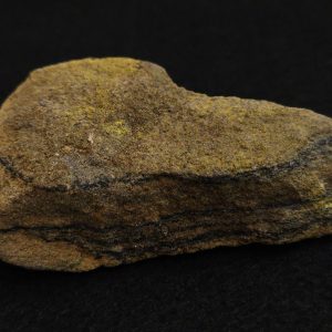 Schoepite Crystals on Matrix - Green River Formation, USA - Fluorescent Uranium Ore