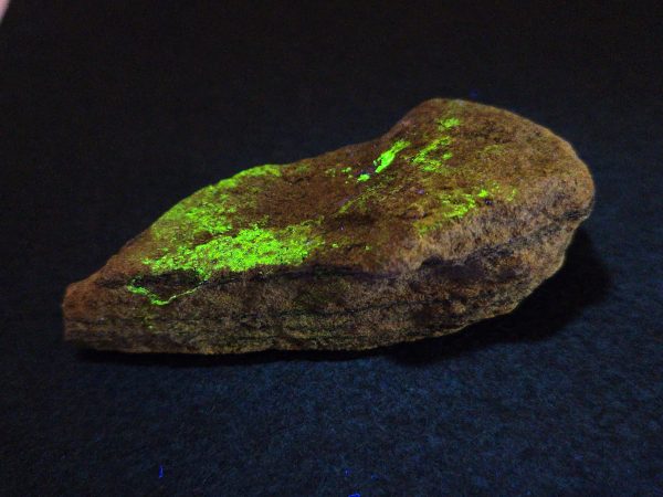 Schoepite Crystals on Matrix - Green River Formation, USA - Fluorescent Uranium Ore