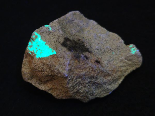 Andersonite , Uraninite on Matrix - D-Day Mine, USA - Fluorescent Uranium Ore