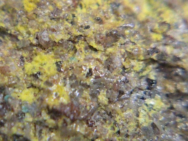Phurcalite & Brochantite on Matrix  Posey Mine, Utah - Uranium Ore - Image 10