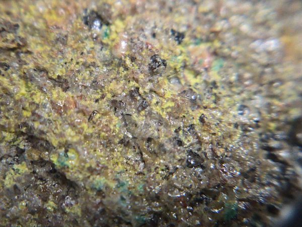 Phurcalite & Brochantite on Matrix  Posey Mine, Utah - Uranium Ore - Image 12