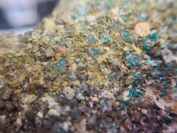 Brochantite on Matrix ~ Posey Mine, Utah - Image 7