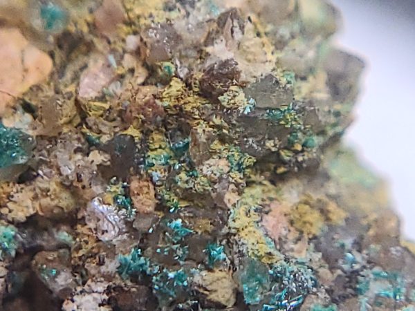 Brochantite on Matrix ~ Posey Mine, Utah - Image 9