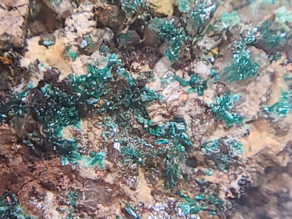 Brochantite on Matrix ~ Posey Mine, Utah - Image 10