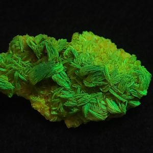 Autunite / Meta-Autunite Crystal, Stabilized- Fluorescent Uranium Ore ~ 3.6 Grams