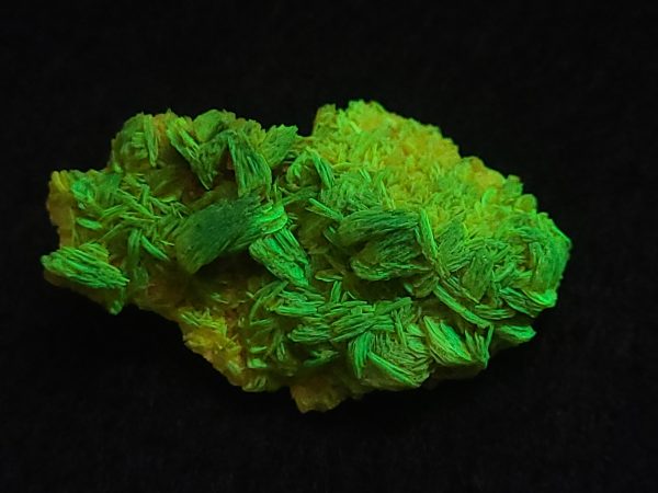 Autunite / Meta-Autunite Crystal, Stabilized- Fluorescent Uranium Ore ~ 3.6 Grams