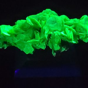 Autunite / Meta-Autunite Crystal, Stabilized- Fluorescent Uranium Ore ~ 2.5 Grams