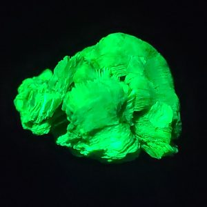 Lamellar Autunite Crystal - Fluorescent Uranium Ore ~ 9.2 Grams