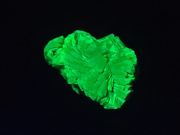 Lamellar Autunite Crystal - Fluorescent Uranium Ore ~ 6.2 Grams