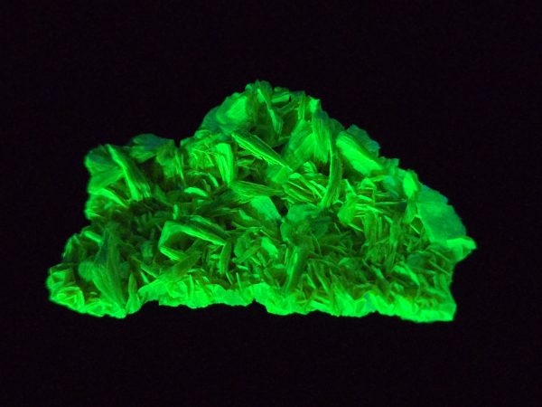 Autunite / Meta-Autunite Crystal, Stabilized- Fluorescent Uranium Ore ~ 3.6 Grams