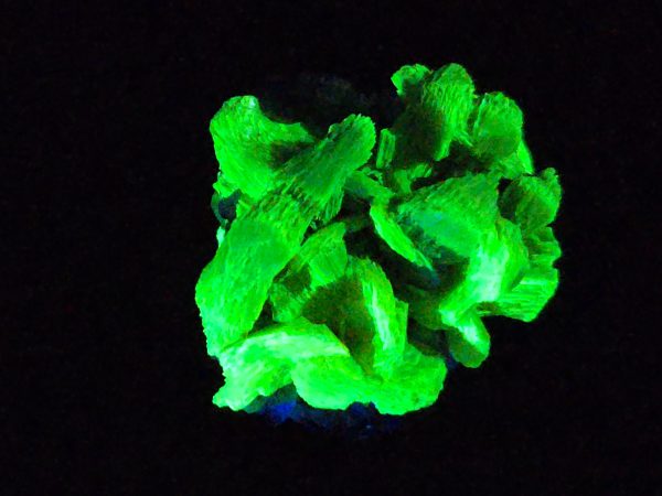 Lamellar Autunite / Meta-Autunite on Matrix ~ Fluorescent Uranium Ore,  24 Grams - Image 8