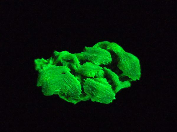 Lamellar Autunite Crystal - Fluorescent Uranium Ore ~ 6.3 Grams