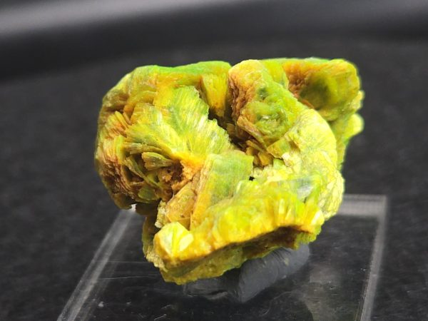 Lamellar Autunite Crystal - Fluorescent Uranium Ore ~8.9 Grams