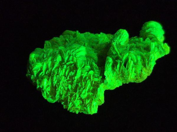 Autunite / Meta-Autunite Crystal, Stabilized- Fluorescent Uranium Ore ~ 3.6 Grams