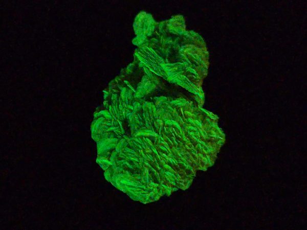 Autunite / Meta-Autunite Crystal, Stabilized- Fluorescent Uranium Ore ~ 3.6 Grams - Image 4