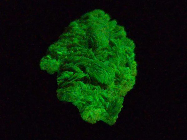 Autunite / Meta-Autunite Crystal, Stabilized- Fluorescent Uranium Ore ~ 3.6 Grams - Image 10