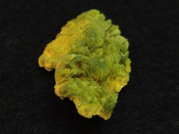 Autunite / Meta-Autunite Crystal, Stabilized- Fluorescent Uranium Ore ~ 3.6 Grams - Image 12