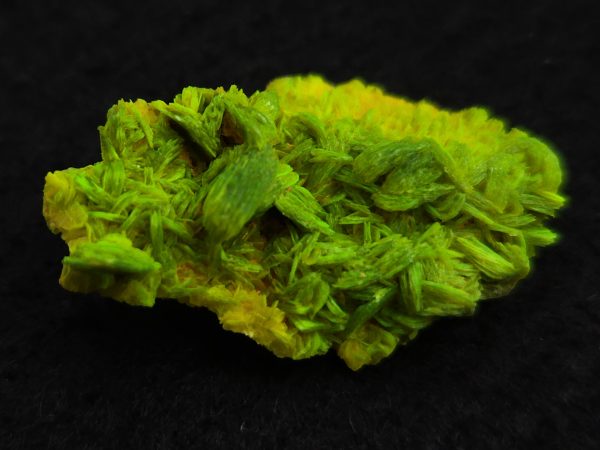 Autunite / Meta-Autunite Crystal, Stabilized- Fluorescent Uranium Ore ~ 3.6 Grams - Image 2