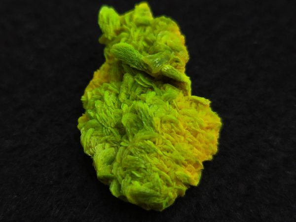 Autunite / Meta-Autunite Crystal, Stabilized- Fluorescent Uranium Ore ~ 3.6 Grams - Image 5