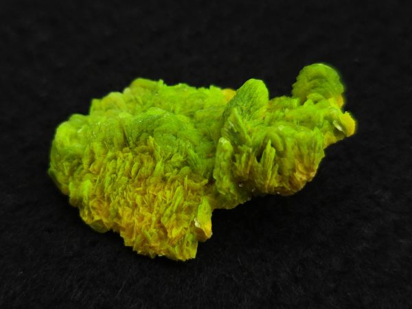 Autunite / Meta-Autunite Crystal, Stabilized- Fluorescent Uranium Ore ~ 3.6 Grams - Image 8