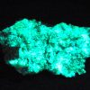 Andersonite Crystals on Matrix - Ambrosia Lake Subdistrict - Fluorescent Uranium Ore