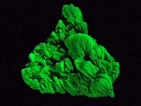 Lamellar Autunite / Meta- Autunite Crystal - Fluorescent Uranium Ore ~ 10 Grams