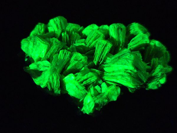 Lamellar Autunite / Meta- Autunite Crystal - Fluorescent Uranium Ore ~ 7.8 Grams