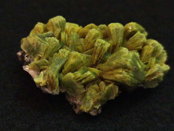 Lamellar Autunite / Meta- Autunite on Matrix  - Fluorescent Uranium Ore ~ 7.8 Grams - Image 2
