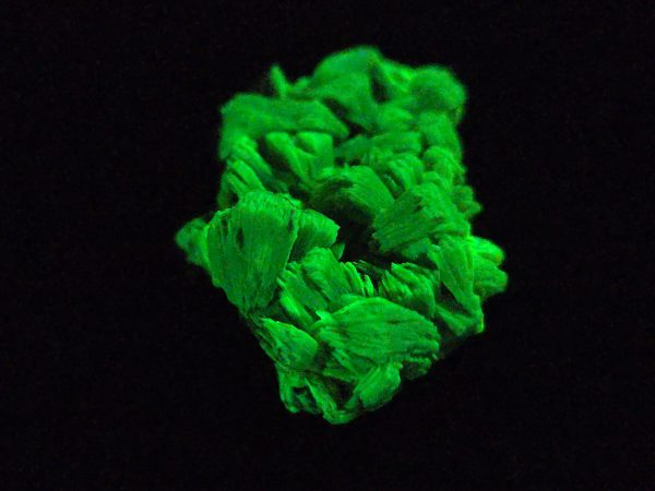 Lamellar Autunite / Meta- Autunite on Matrix  - Fluorescent Uranium Ore ~ 7.8 Grams - Image 4
