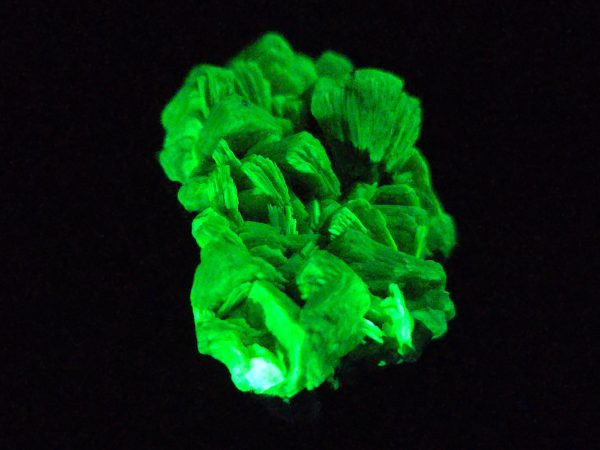 Lamellar Autunite / Meta- Autunite on Matrix  - Fluorescent Uranium Ore ~ 7.8 Grams - Image 10