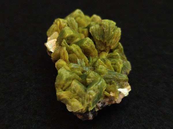 Lamellar Autunite / Meta- Autunite on Matrix  - Fluorescent Uranium Ore ~ 7.8 Grams - Image 11