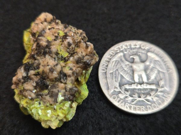 Lamellar Autunite / Meta- Autunite on Matrix  - Fluorescent Uranium Ore ~ 7.8 Grams - Image 14