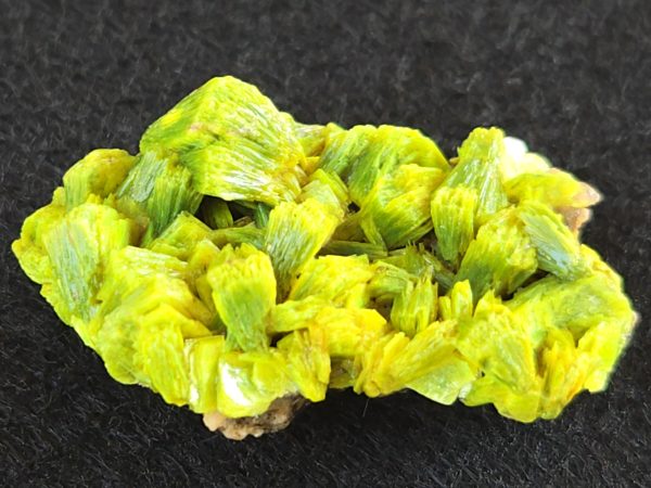 Lamellar Autunite / Meta- Autunite on Matrix  - Fluorescent Uranium Ore ~ 7.8 Grams - Image 9