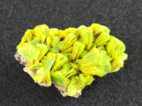 Lamellar Autunite / Meta- Autunite on Matrix  - Fluorescent Uranium Ore ~ 7.8 Grams - Image 3