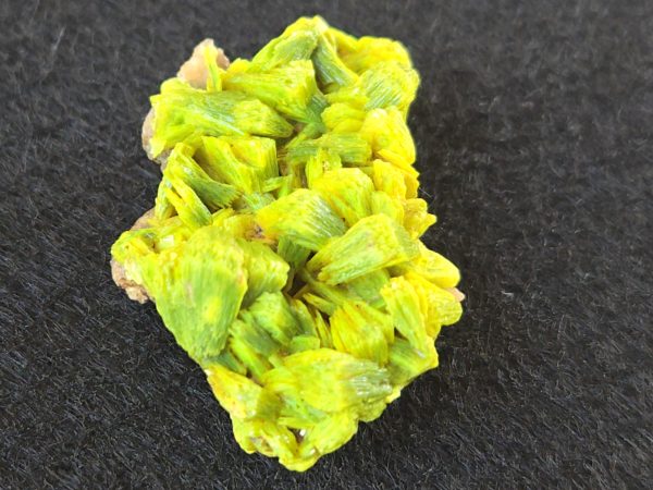 Lamellar Autunite / Meta- Autunite on Matrix  - Fluorescent Uranium Ore ~ 7.8 Grams - Image 6
