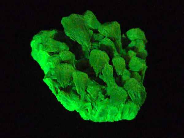 Lamellar Autunite / Meta- Autunite Crystal - Fluorescent Uranium Ore ~ 9 Grams