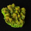 Lamellar Autunite / Meta- Autunite Crystal - Fluorescent Uranium Ore ~ 9 Grams