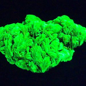 Autunite / Meta-Autunite Crystal, Stabilized- Fluorescent Uranium Ore ~ 2.4 Grams