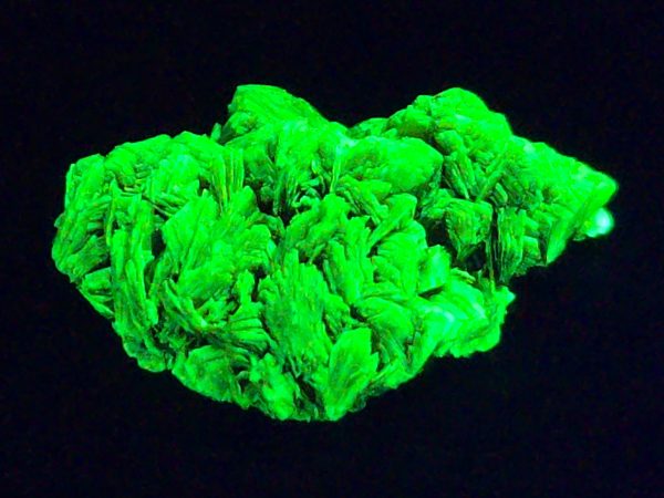 Autunite / Meta-Autunite Crystal, Stabilized- Fluorescent Uranium Ore ~ 2.4 Grams