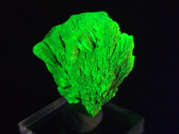 Lamellar Autunite / Meta- Autunite Crystal - Fluorescent Uranium Ore ~ 12 Grams