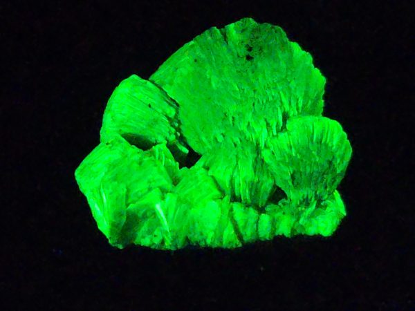 Lamellar Autunite / Meta- Autunite on Matrix - Fluorescent Uranium Ore ~ 10 Grams