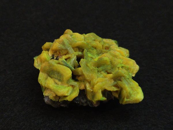 Lamellar Autunite / Meta-Autunite on Matrix ~ Fluorescent Uranium Ore, 25 Grams