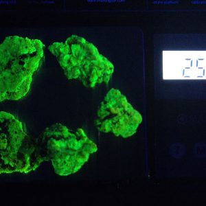 25 Grams of Autunite Fragments in a Lead Container, Bulk Uranium Ore