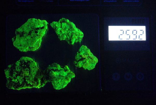 25 Grams of Autunite Fragments in a Lead Container, Bulk Uranium Ore