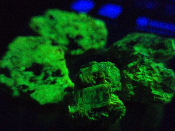25 Grams of Autunite Fragments in a Lead Container, Bulk Uranium Ore - Image 8