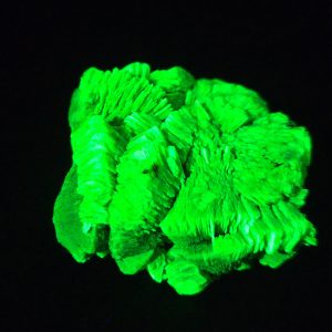 Lamellar Autunite / Meta- Autunite Crystal - Fluorescent Uranium Ore ~ 21 Grams