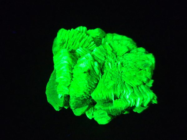 Lamellar Autunite / Meta- Autunite Crystal - Fluorescent Uranium Ore ~ 21 Grams